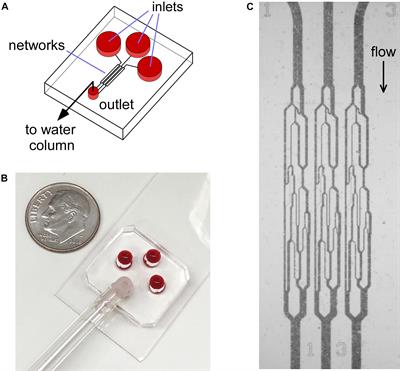 Concurrent Assessment of Deformability and Adhesiveness of Sickle Red Blood Cells by Measuring Perfusion of an Adhesive Artificial Microvascular Network